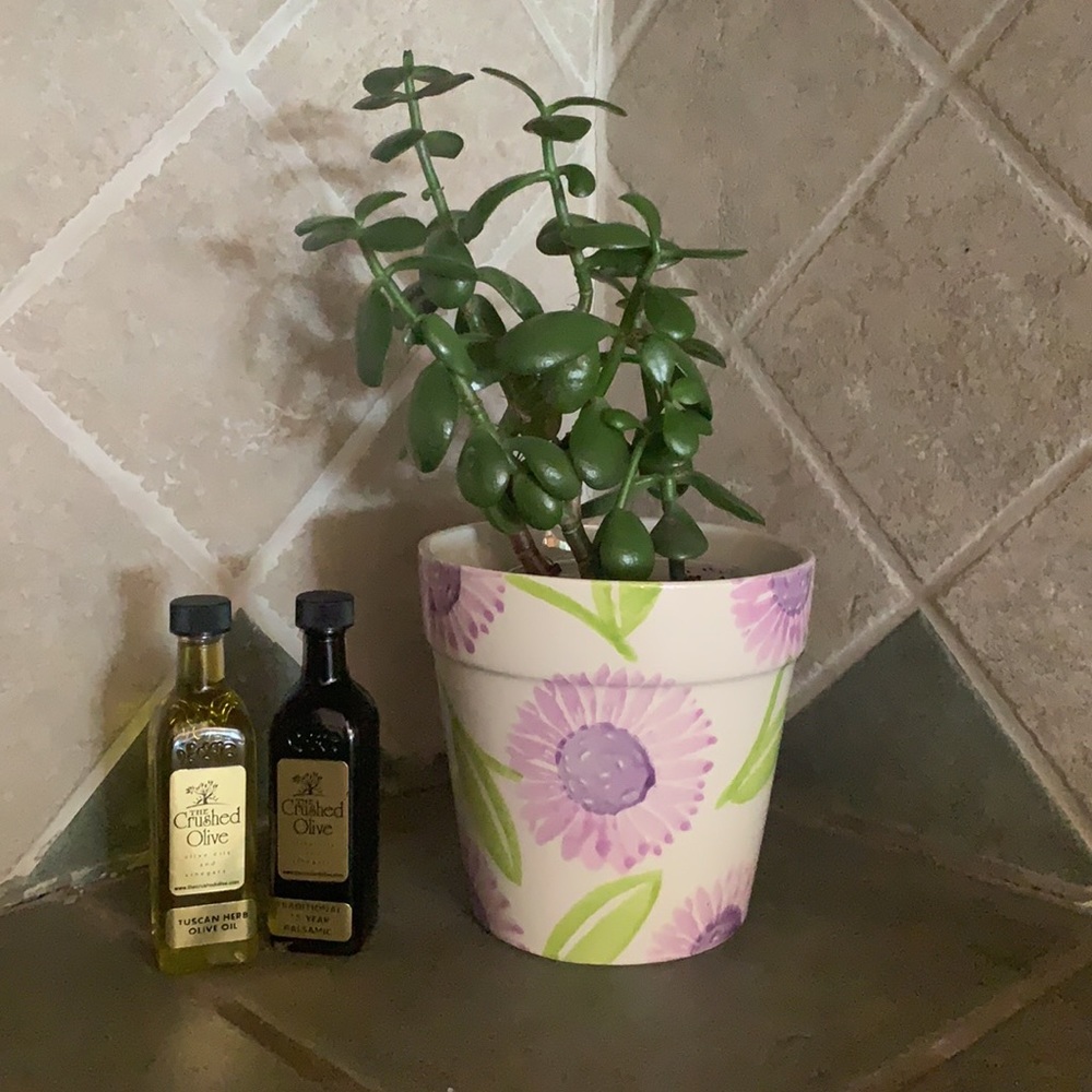 Ceramic Flower Pot from Over and Back